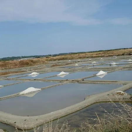 Charmant Meuble De 40 M2 - Type T2 Refait A Neuf *