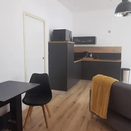 شقة Charmant Meuble De 40 M2 - Type T2 Refait A Neuf بورنيشّيه